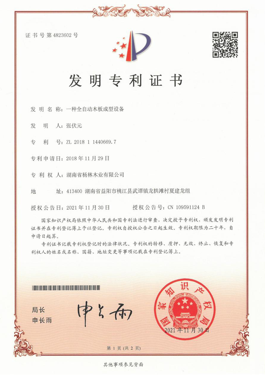 一种全自动木板成型设备