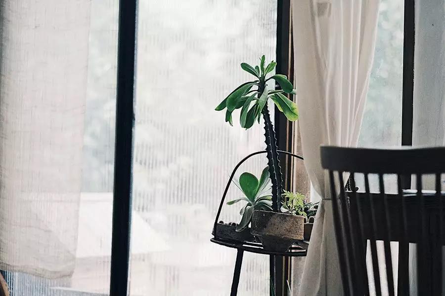 福晶板材