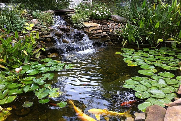 福晶板材 福晶板材