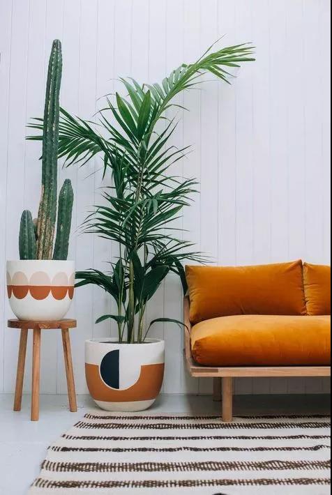 做到这几点，延长地板寿命不是问题